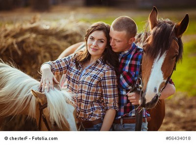 Kleine Pferde-Familie